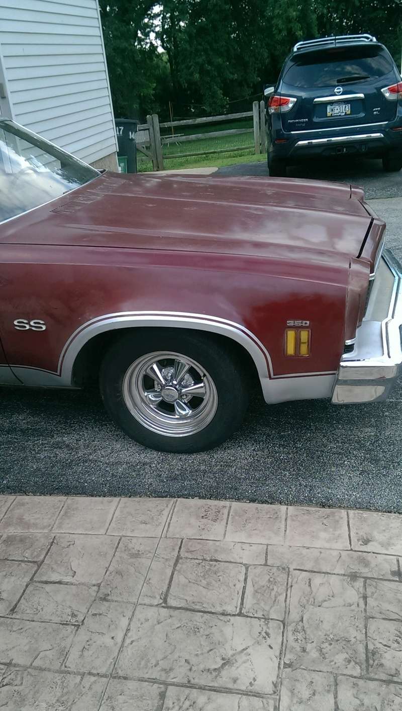 1973 Chevelle SS lower body stripes. Imag2211