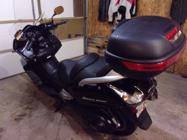 I'm Back with a new Silverwing Akakgi10