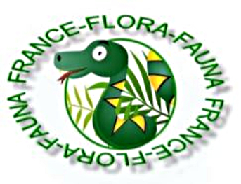 Tag flora sur La Planète Cibi Francophone Tw-110