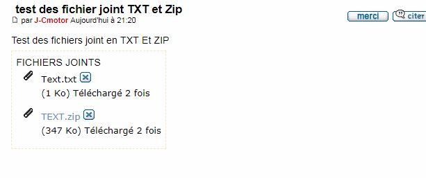 Disparition des fichiers joint TXT et fichier Zip Captur29