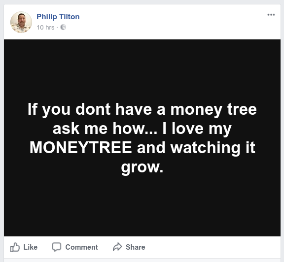Philip Tilton Builds A Money Tree Screen73