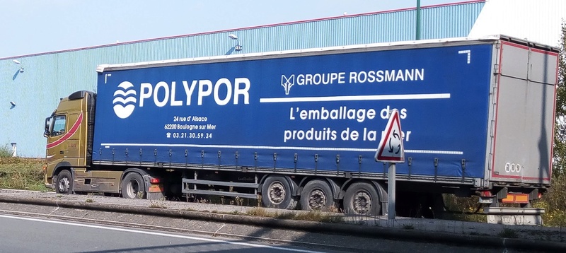 Polypor (groupe Rossmann) (62) Img_2072