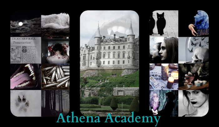 Athena Akademiet - Reklame  This_i10