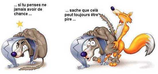 Humour en image du Forum Passion-Harley  ... - Page 23 00110