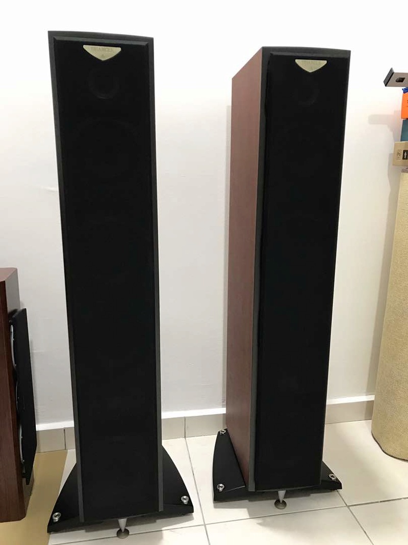 Triangle Antal EX Speakers (Made in France Pair). Img-2017