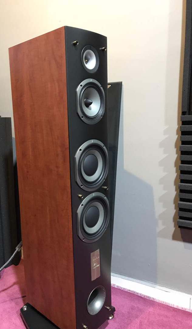 Triangle Antal EX Speakers (Made in France Pair). Img-2019