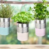 mini jardin suspendus avec boites de conserve Articl10