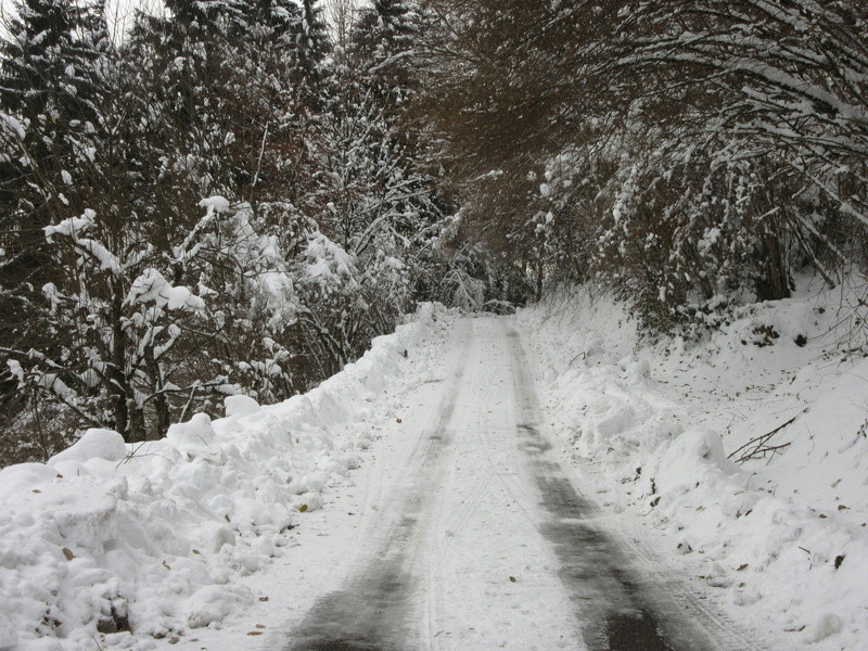 Neige dans les Vosges saônoise Img_1516