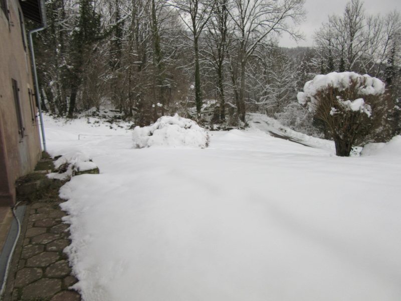 Neige dans les Vosges saônoise Img_1521