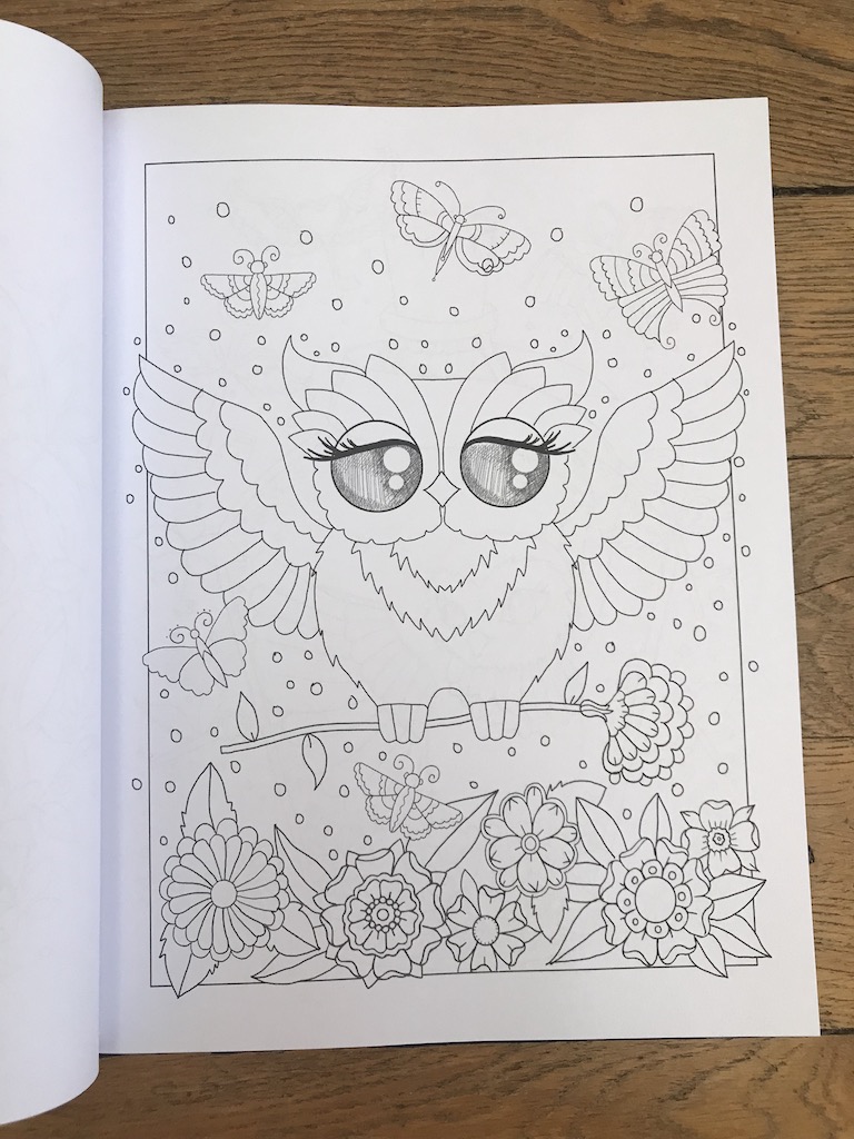 Ornamental Owls - Edwina Mc Namee Img_5647