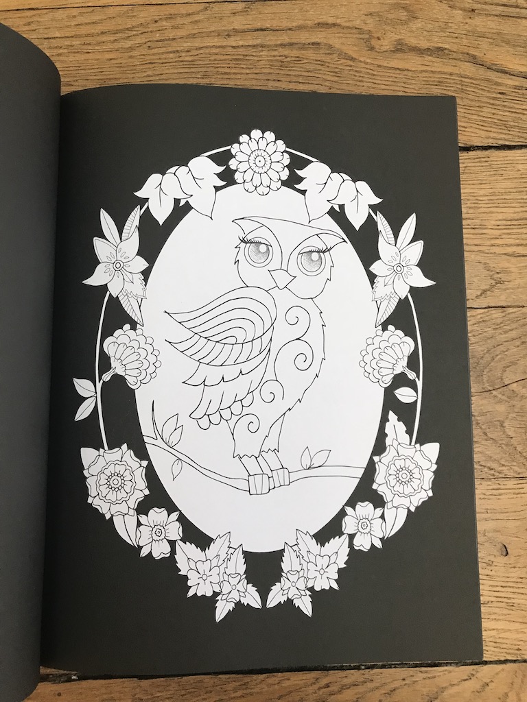 Ornamental Owls - Edwina Mc Namee Img_5649