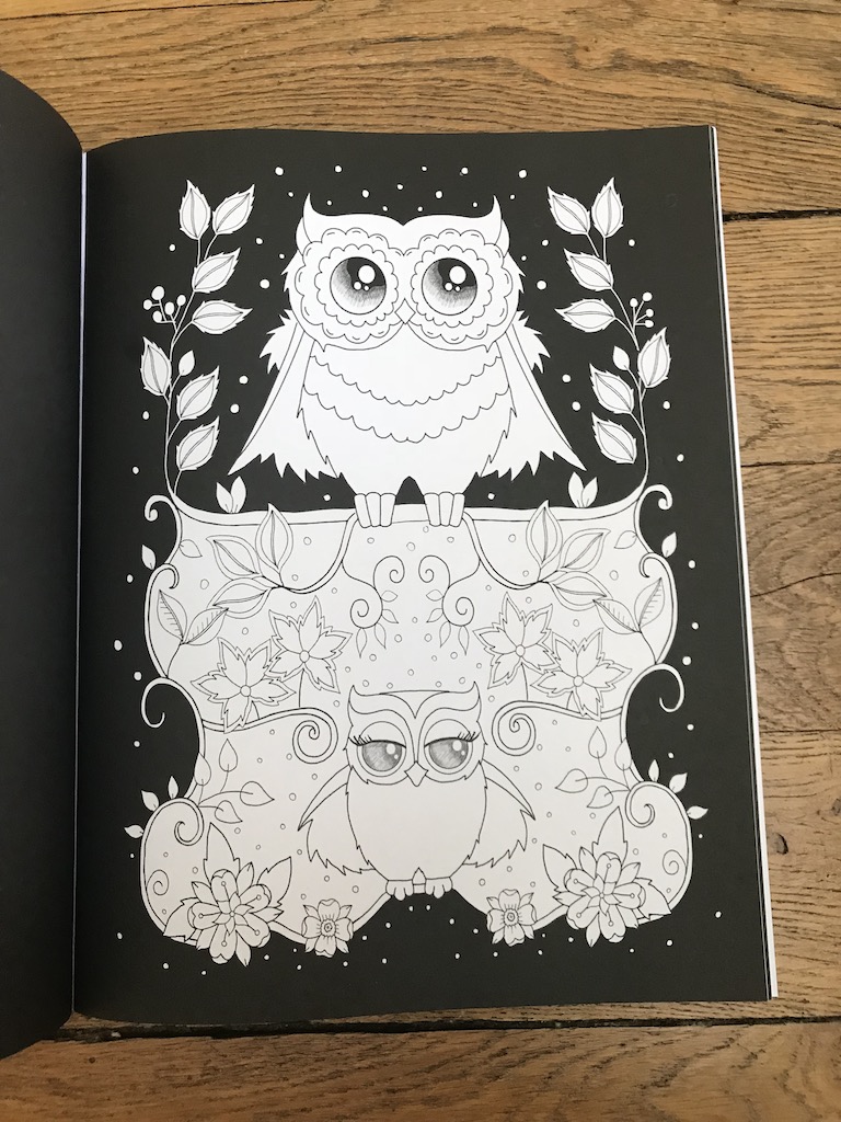 Ornamental Owls - Edwina Mc Namee Img_5651