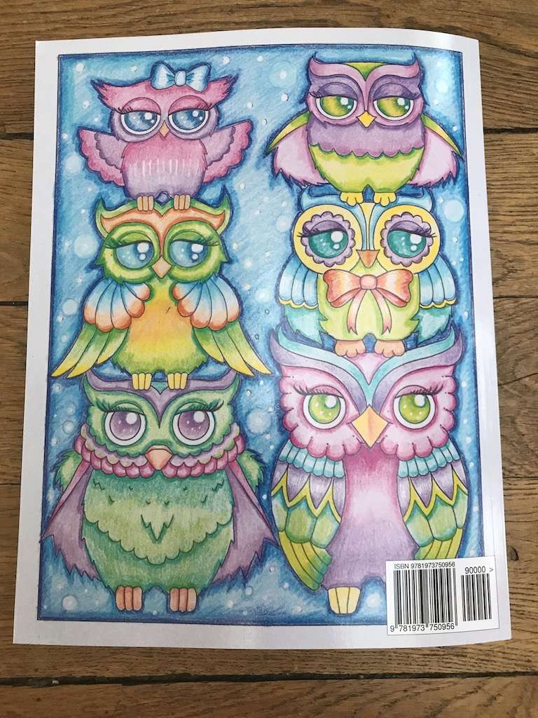 Ornamental Owls - Edwina Mc Namee Img_5656