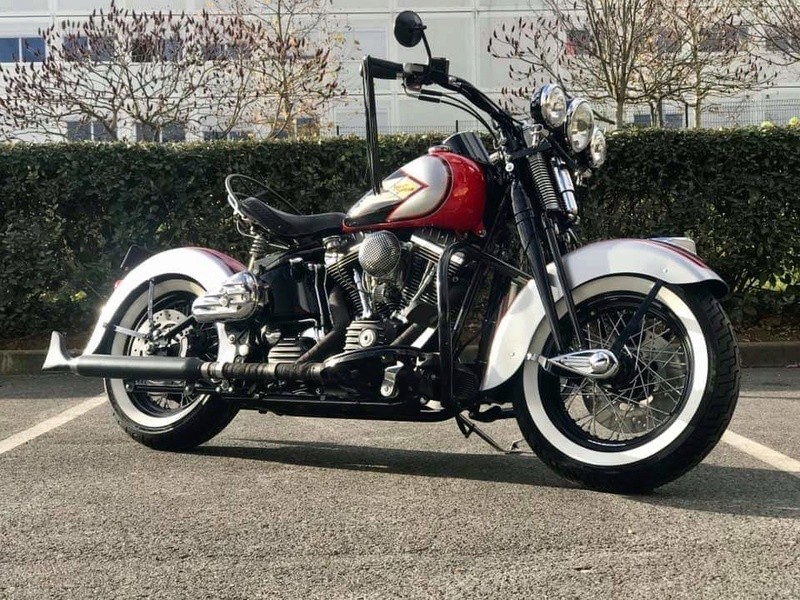 le springer de notre poto johnny 47091810