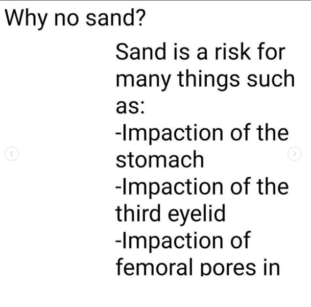 A propos du sable et des ingestions  Sable_10