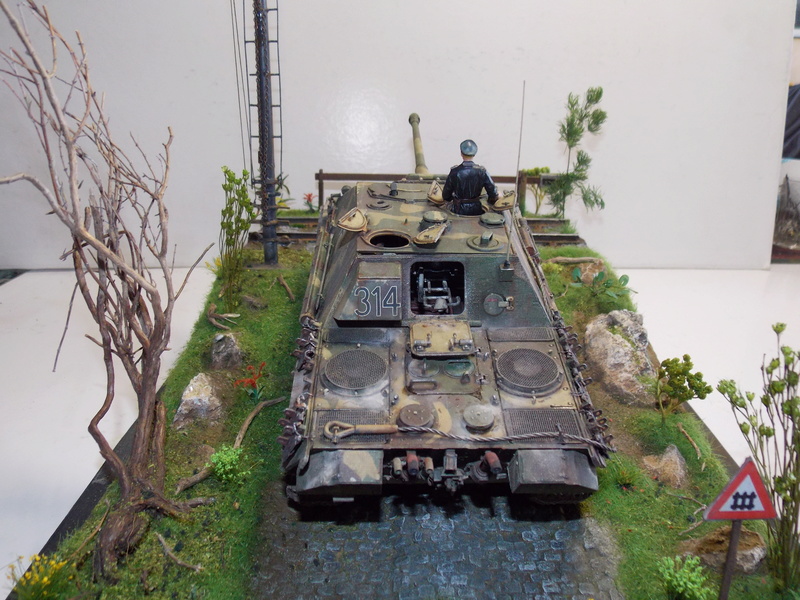 Jagdpanther early (DRAGO 1/35)+ fallschirmmjager  - Page 5 Dscn6356