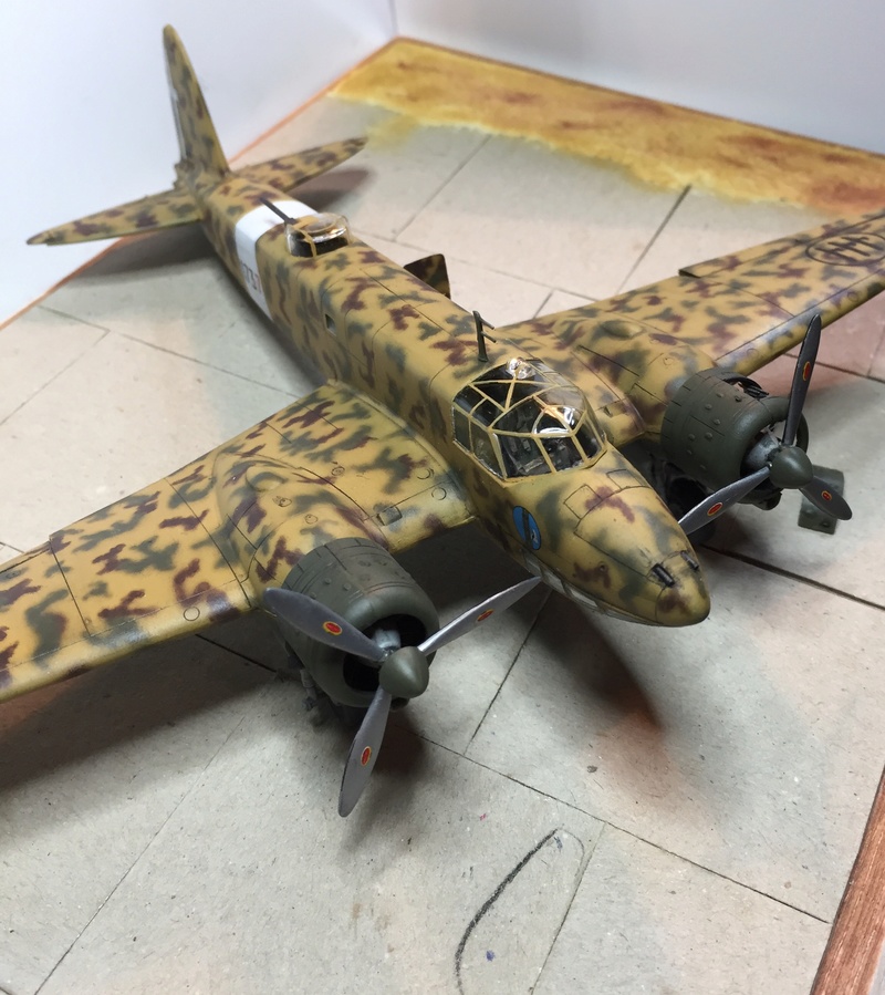 [Concours Désert] Fiat CR 25 - Special Hobby - 1/72 Img_5126