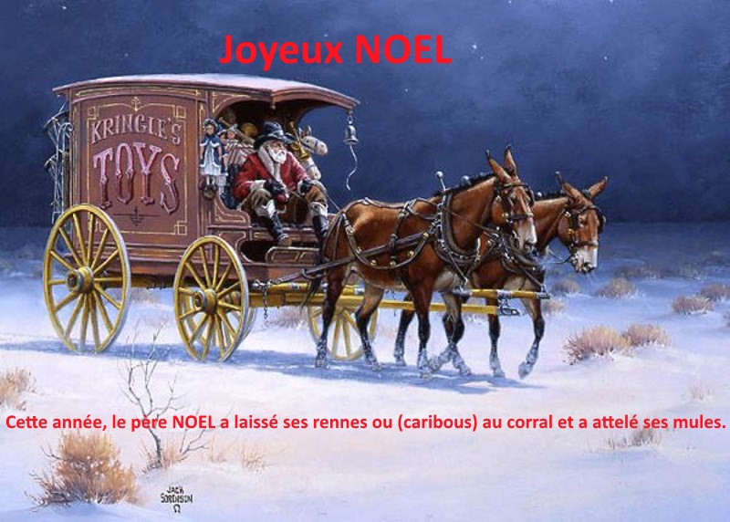 Joyeux Noël - Merry Christmas Joyeux10
