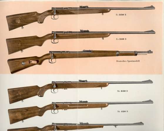 Besoin d'aide pour le model d'une Mauser 22LR Carabi10