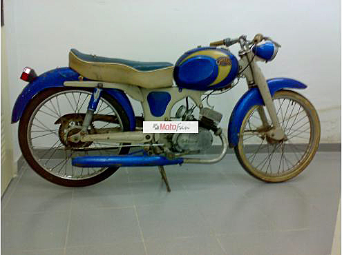 GIMSON Gimson12