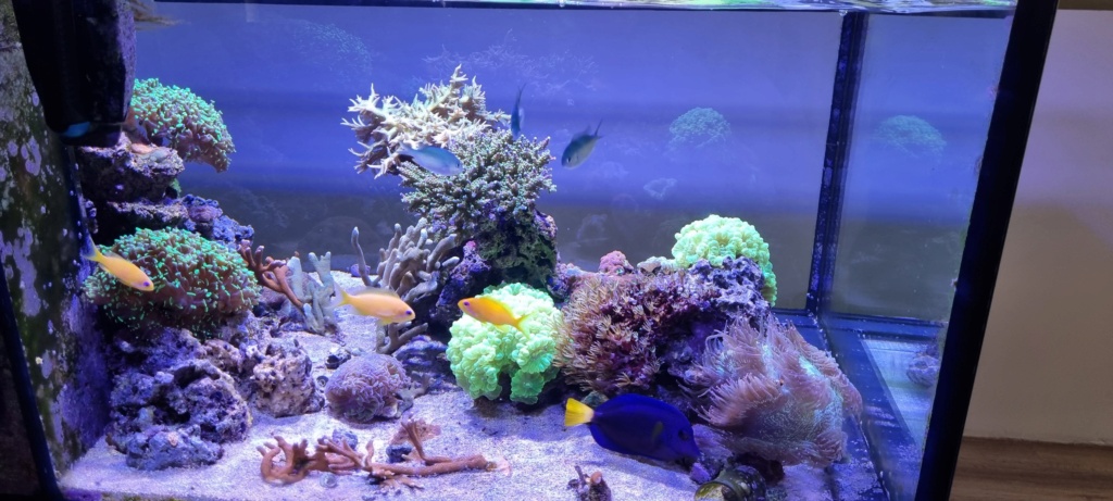 Aquarium dans le médoc 20230910