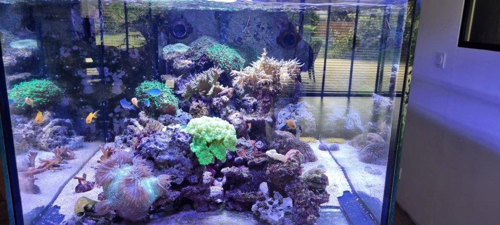 Aquarium dans le médoc 20230911