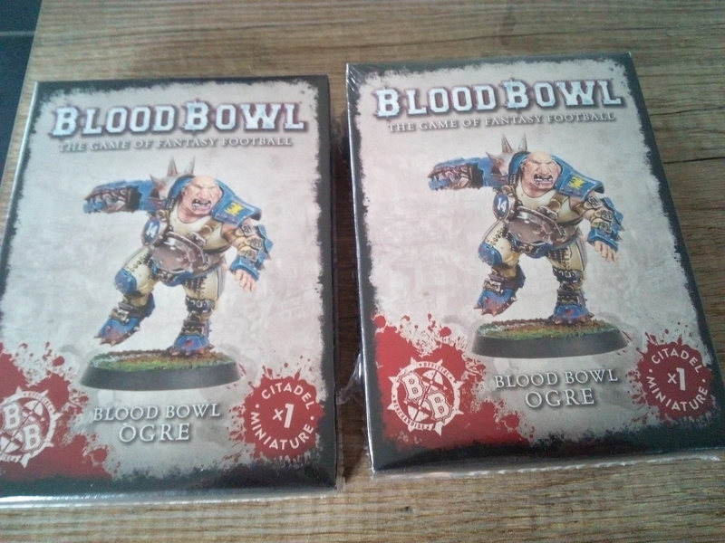 Tournoi blood bowl team manager zgames - Page 6 Img_2071