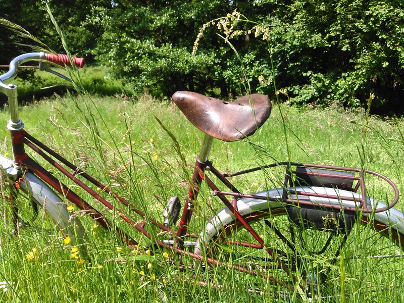 Selco jardinière 1956 Kimg0221