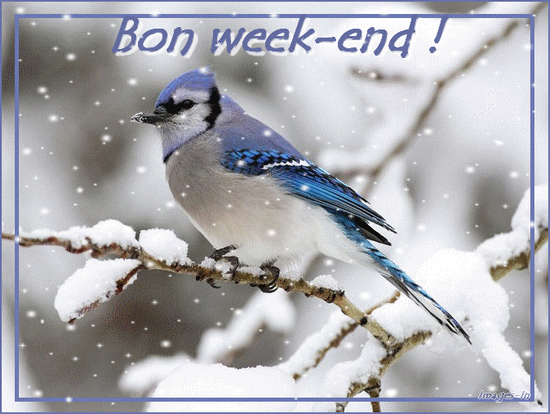 Coucou de février 7b497510