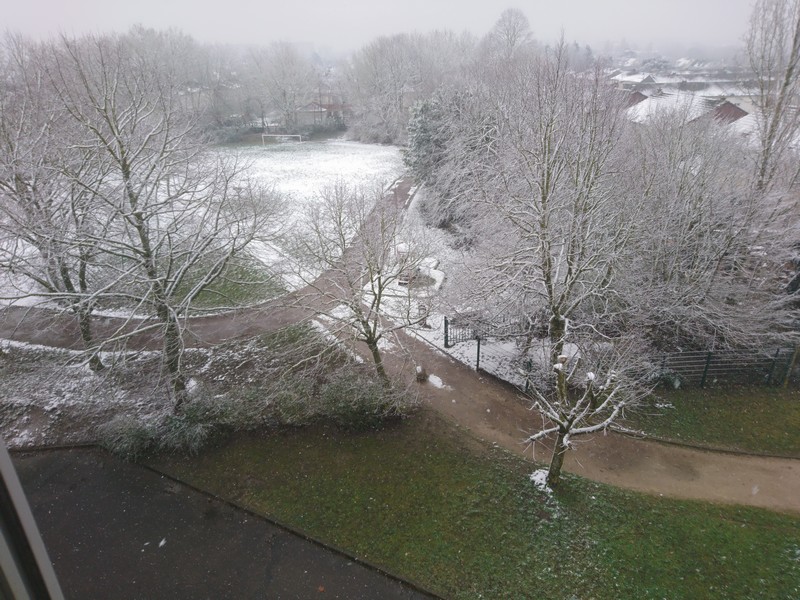 Coucou de février Neige10