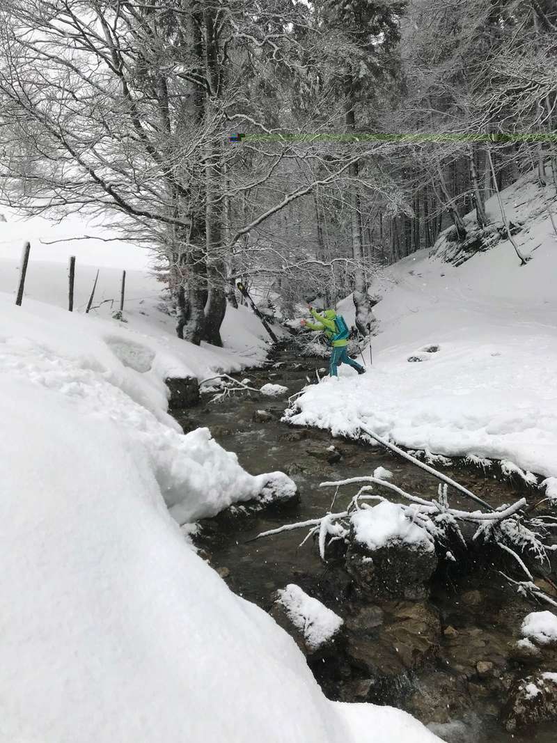 Chasseron 21 janvier  Chasse10