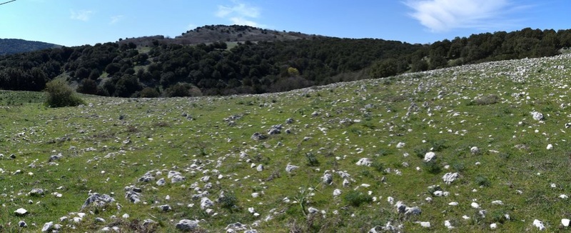 Les Pouilles 04 2018 part 1 - Le Gargano Dsc_0110