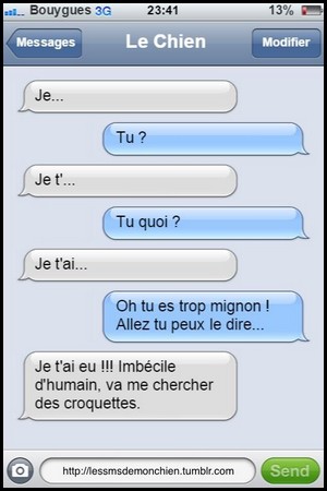 Humour sur les texto !!! - Page 2 Chien_11