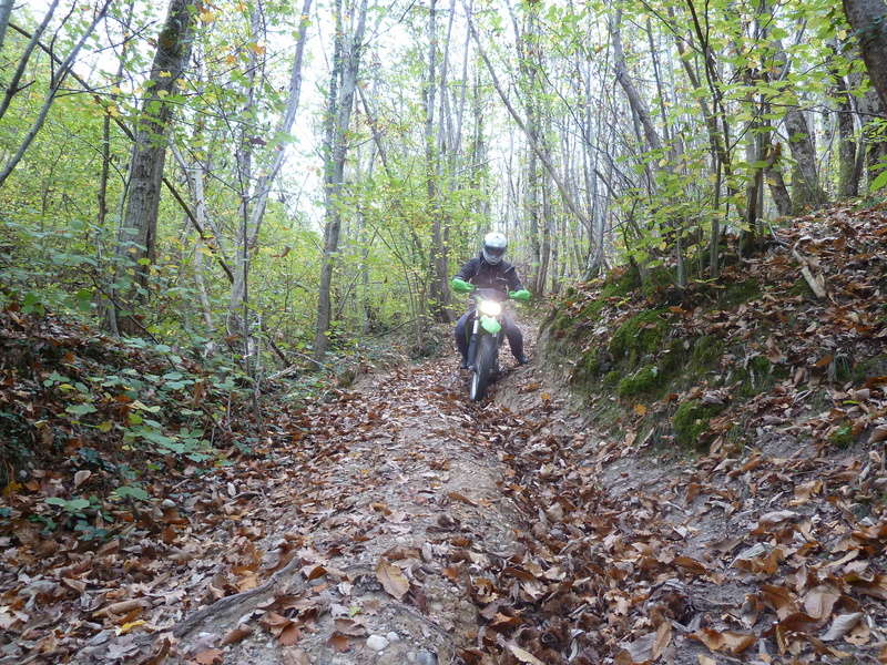 Balade Tarnaise (autour de la GRÉSIGNE) P1020912