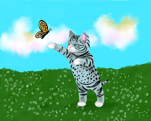 Schmetterlingspfotes Bilder Kitten10