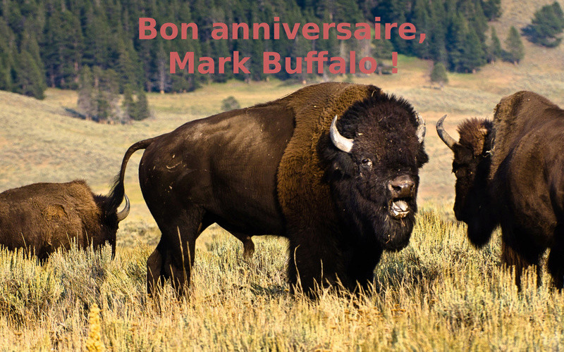 Bon anniversaire, Mark Buffalo Buffal10
