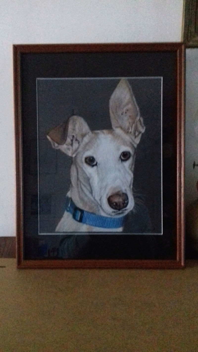Le portrait de votre loulou au profit de GF - Page 18 20180311