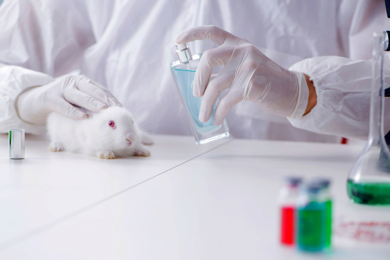 Tests de cosmétiques sur les animaux: les députés demandent une interdiction mondiale 20180510