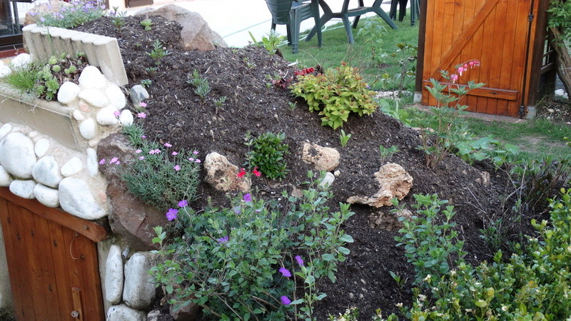 réfection du jardin après le cyclone poupoule en folie  Dsc01415