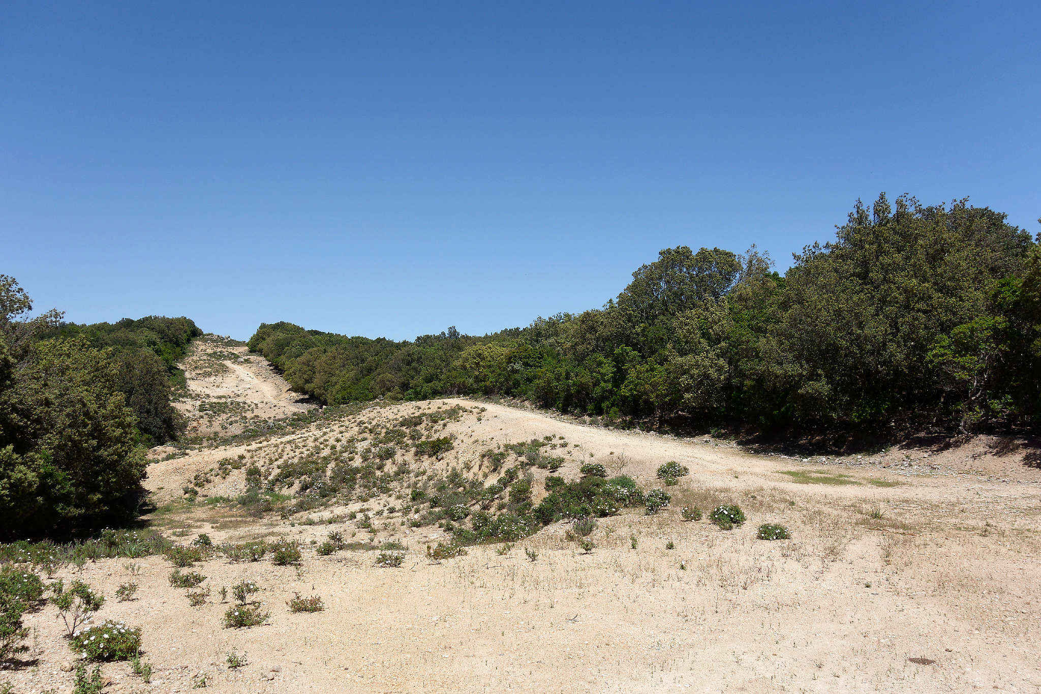 tour - CR d'un petit tour de la Sardaigne (printemps 2018) Dsc02537