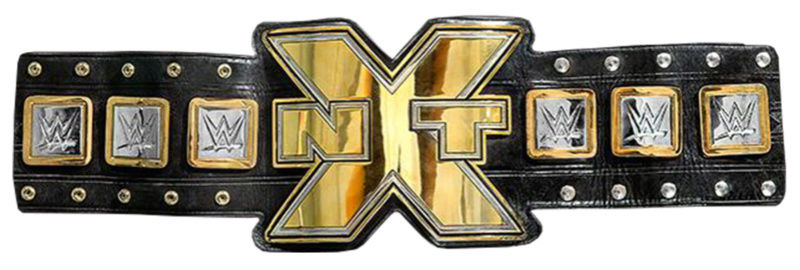 NXT Championship 20140810