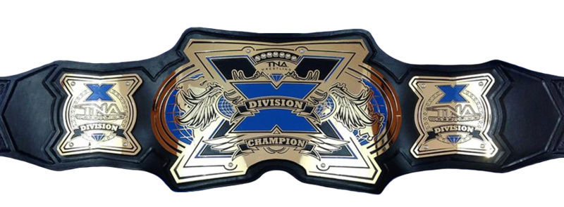 Impact X Division Championship New_tn11