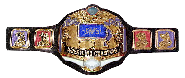 ECW Championship (1992 - 2001) Nwa-ec10