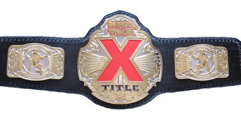 Impact X Division Championship Nwatna11