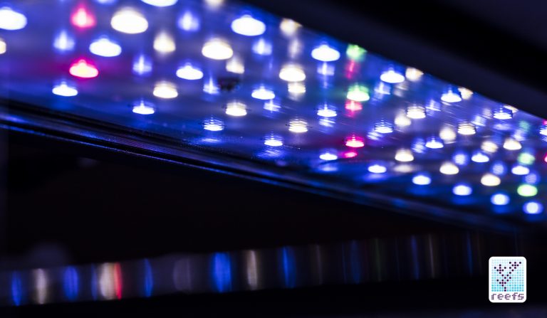 AQUAMAXX NEMO LIGHT : Powerful, Stylish design and affordable PART 1 Dsc66910