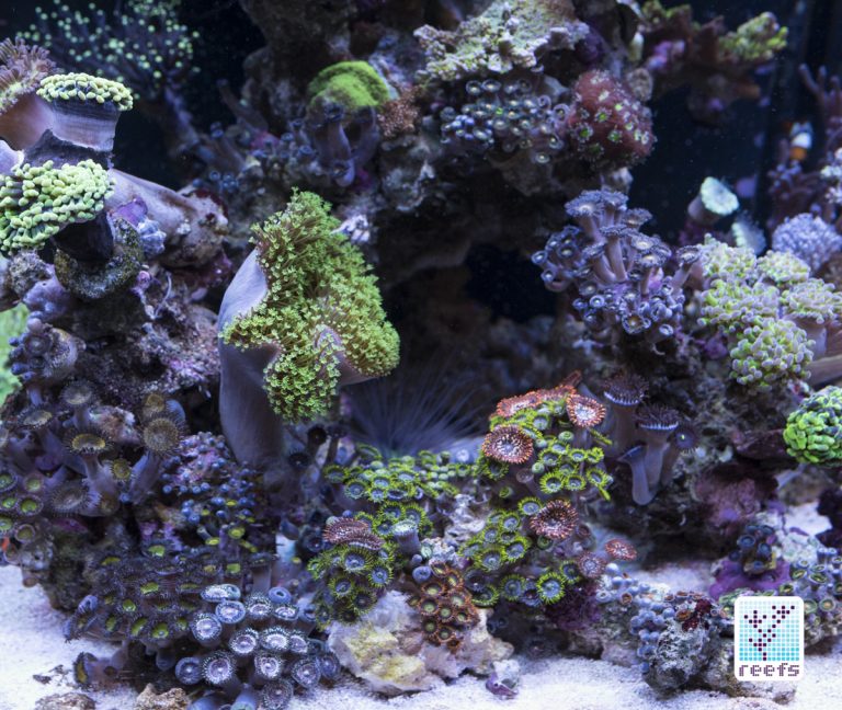 AQUAMAXX NEMO LIGHT : Powerful, Stylish design and affordable PART 1 Dsc67010
