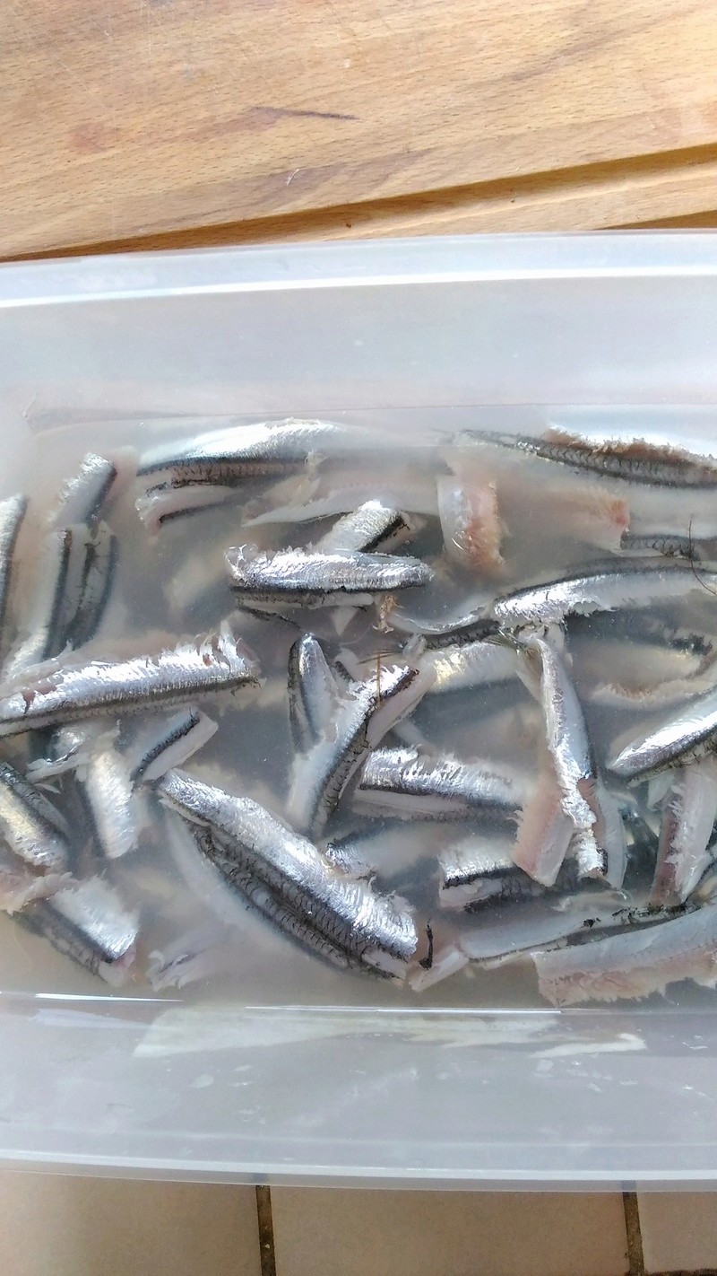 anchois marinés. P_201850