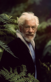 Ian McKellen 200*320 810