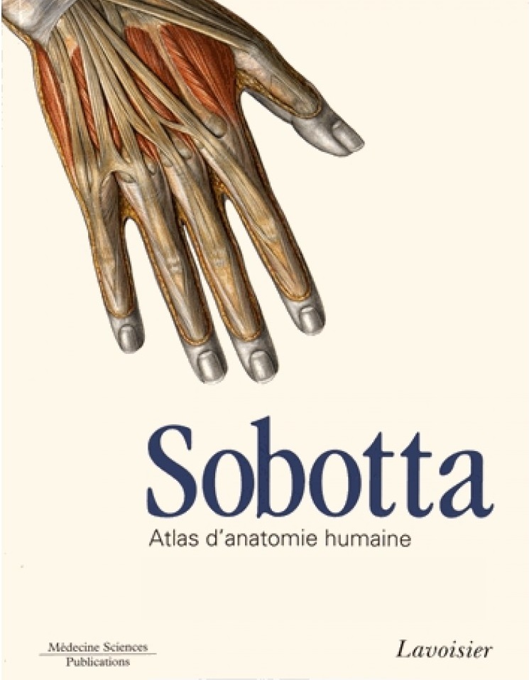Livres Médicales - Atlas d'anatomie humaine, Sobotta (4° Édition) Atlas-10
