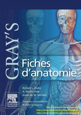 Livres Médicales - Gray's Fiches d'anatomie - Page 2